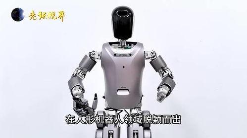 中国产的机器人视频,智能创新引领未来科技浪潮